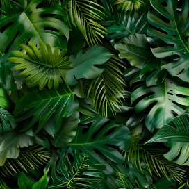 Jungle 330